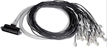 Patton Cable 64pin FEMALE Telco to 32 unterminated TP, 6FT