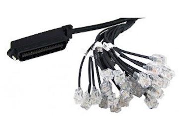 Patton 6 FT Cable (RJ21-50 PIN TELCO-to-24 RJ11)