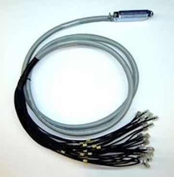 Patton 6 FT Cable (RJ21-50 PIN TELCO-to-24 RJ45)