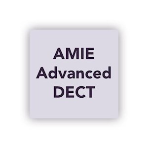 AMIE Advanced for DECT - Single 400 server (1JR)